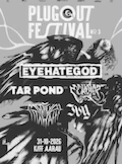 one-day festival at kiff in aarau